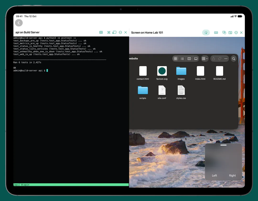 Conn on iPad with a terminal on the left and a Mac's screen on the right.