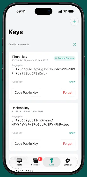 The Keys tab on iPhone: an iPhone key marked Secure Enclave and a desktop key, each with its fingerprint and Copy Public Key.